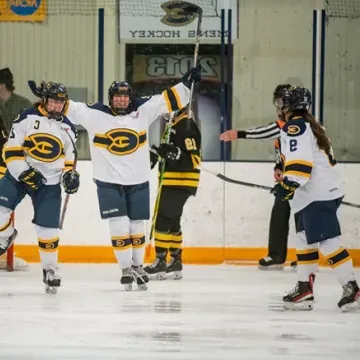 women's hockey players celebrating a goal 